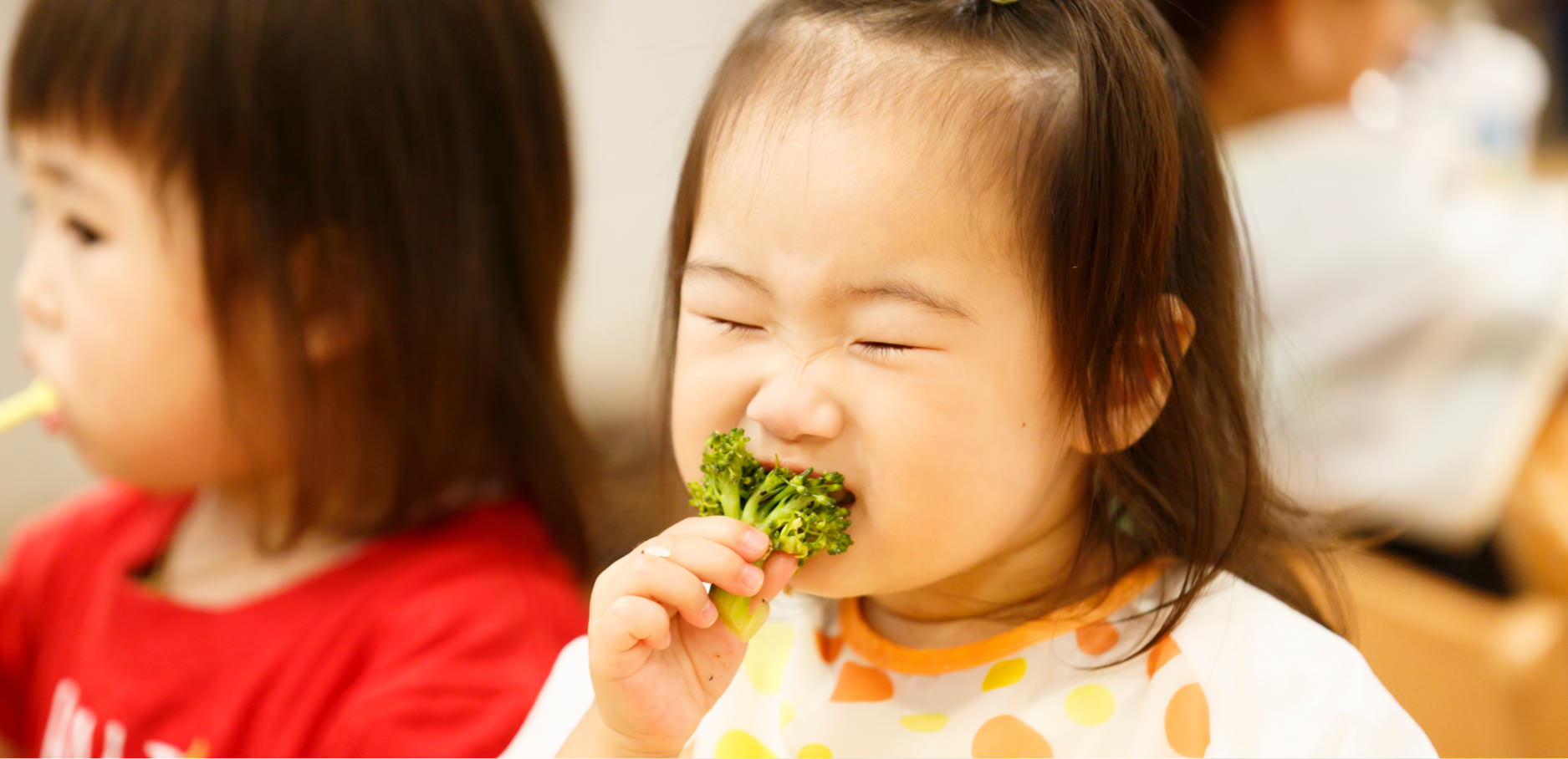 食育について
