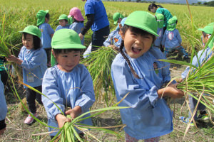 田植え・稲刈り